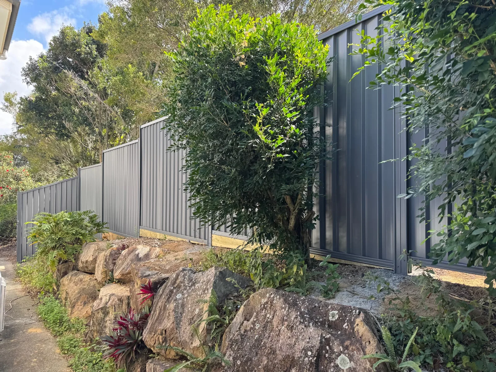 Colorbond boundary fencing installed around an established garden in Wynnum West